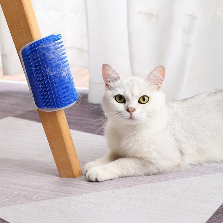 Perie De Masaj Pentru Pisici Cu Catnip – Relaxare, Joaca si Curatare Blana Direct Pe Colturi
