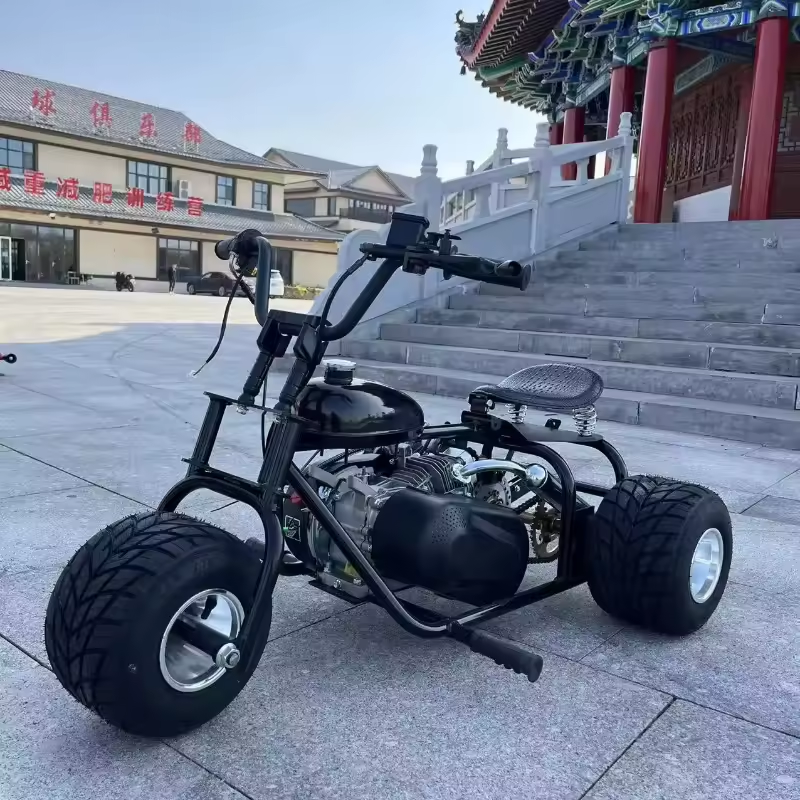 Kart Off Road pe Benzina 212cc, 8.5CP, Motor 4 Timpi, Chain Drive, Frana Disc Hidraulica