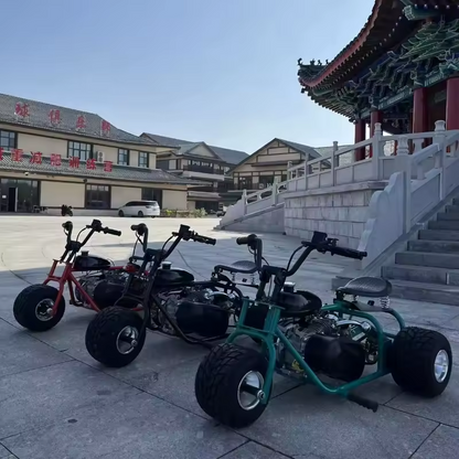 Kart Off Road pe Benzina 212cc, 8.5CP, Motor 4 Timpi, Chain Drive, Frana Disc Hidraulica