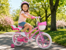 Bicicleta Feichi 16 Inch pentru Fetite – Cosulet, Scaun pentru Papusi, Frane Fata-Spate si Roti Ajutatoare Incluse - 3 culori