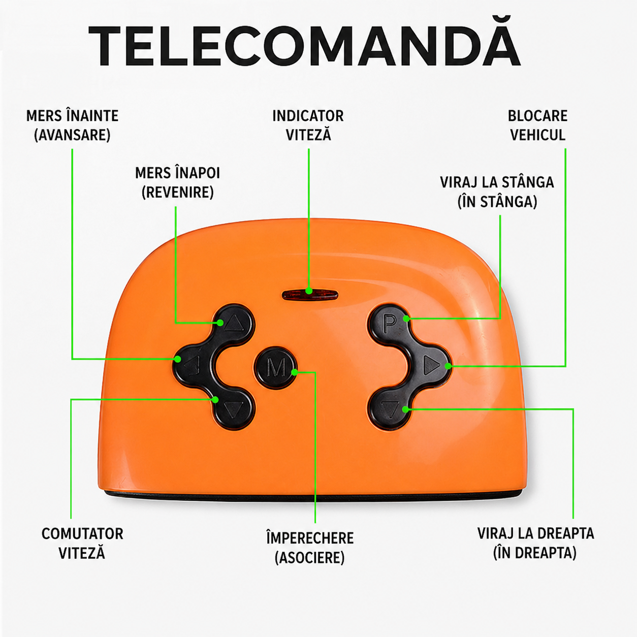 ATV electric copii 12V telecomanda 2 motoare 2 viteze lumini muzica 3-8 ani verde albastru